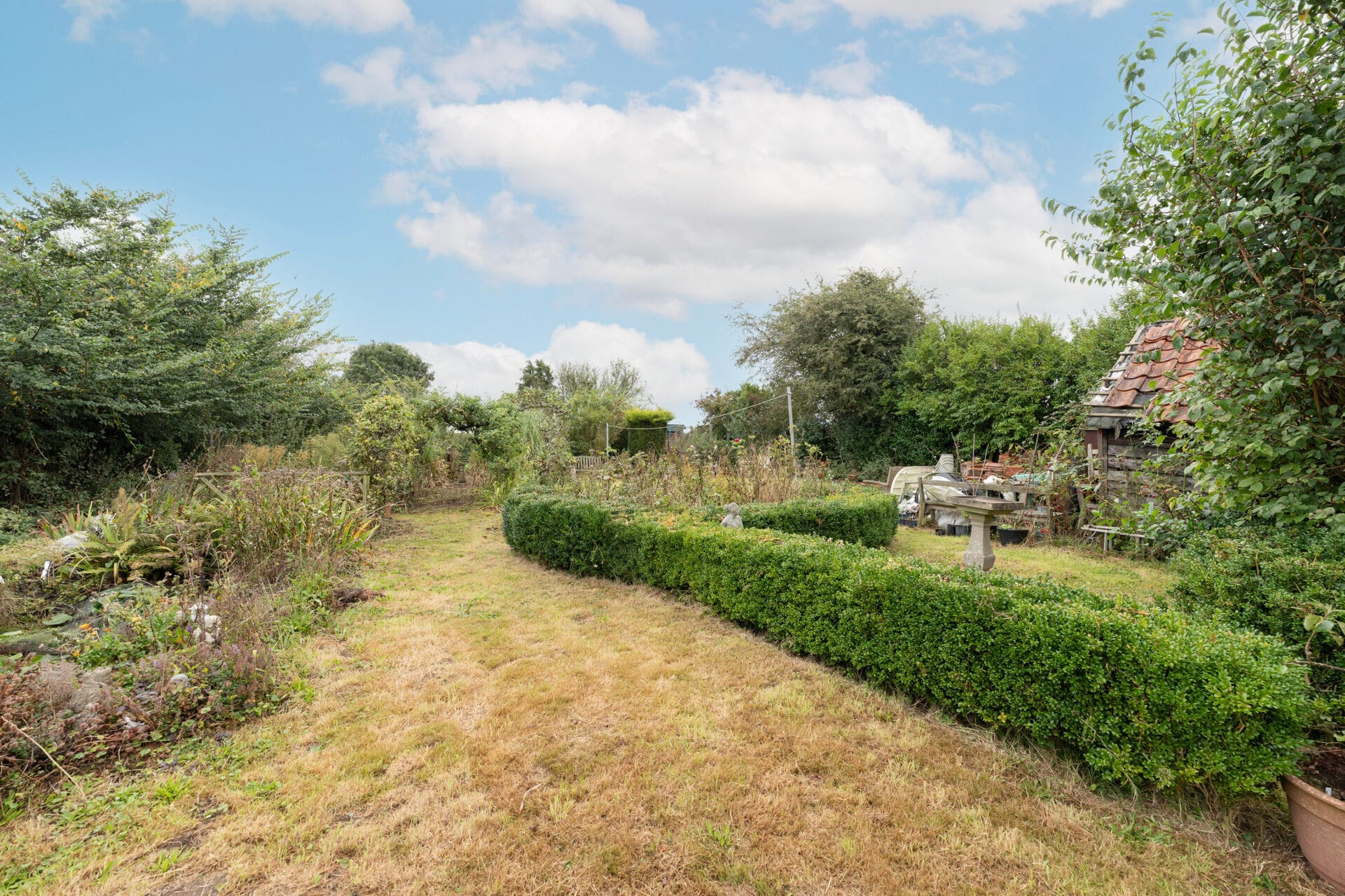 Number 20